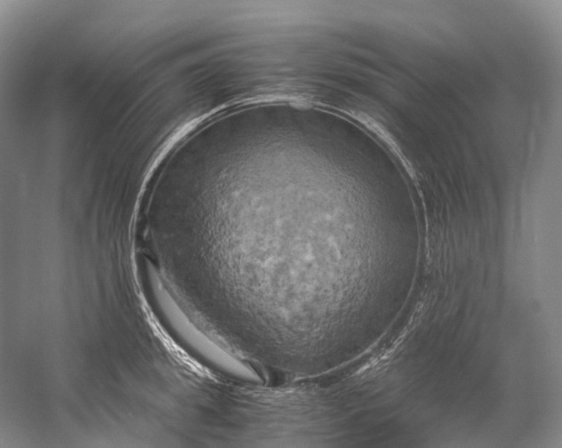 X0000058800949200510171343