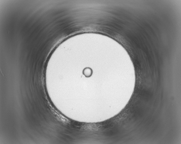 X0000058800950200510171343