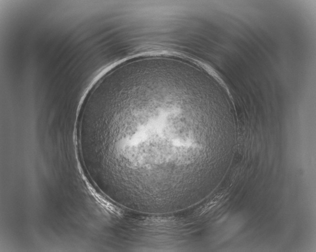 X0000058800951200510171343