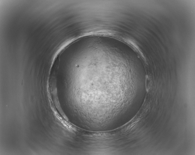 X0000058800952200510171343