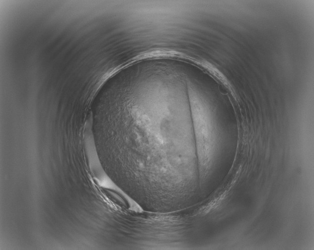 X0000058800953200510171343