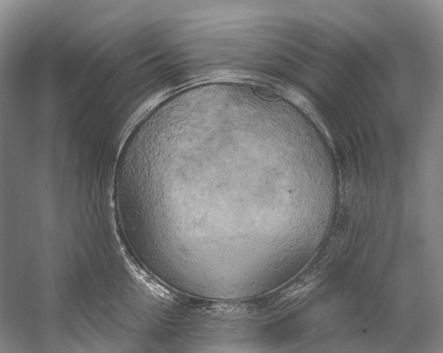 X0000058800954200510171343