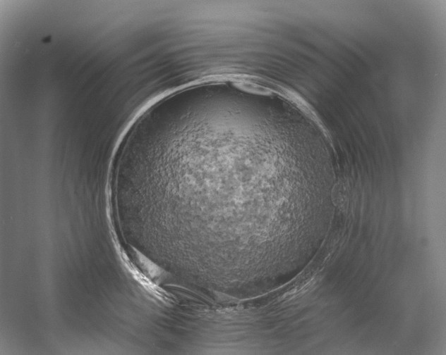 X0000058800955200510171343