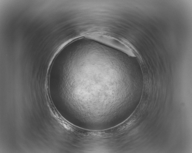 X0000058800956200510171343