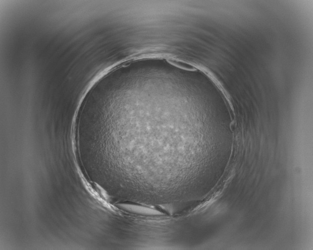 X0000058800957200510171343