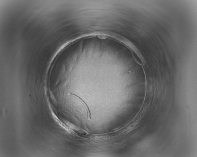 X0000058800958200510171343