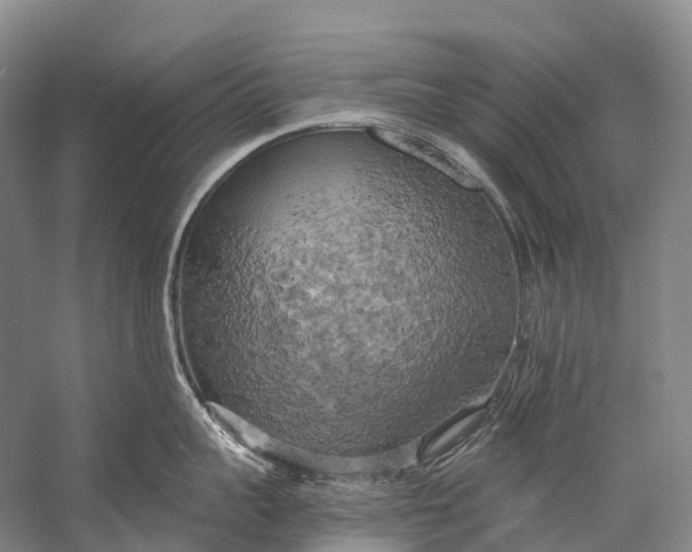 X0000058800959200510171343