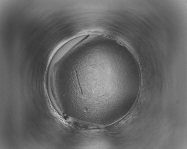 X0000058800960200510171343