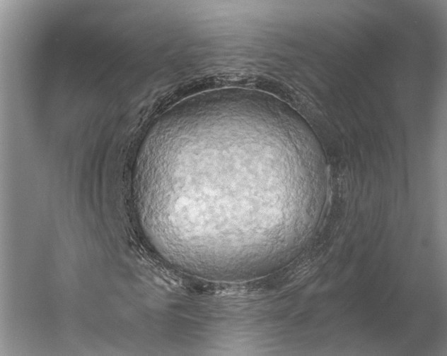 X0000058800961200510171342