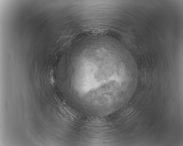 X0000058800962200510171342