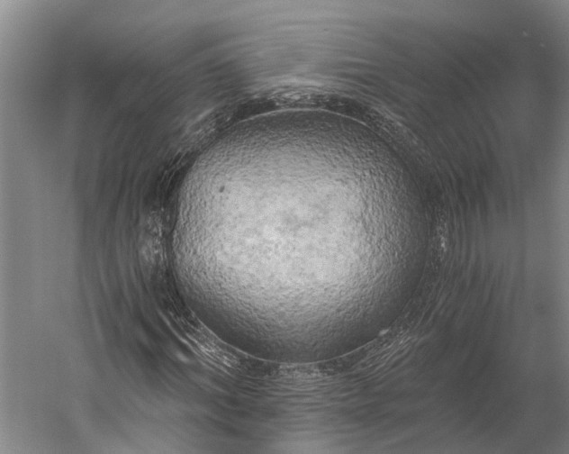 X0000058800964200510171342