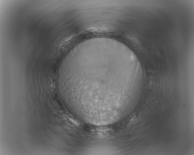 X0000058800966200510171342