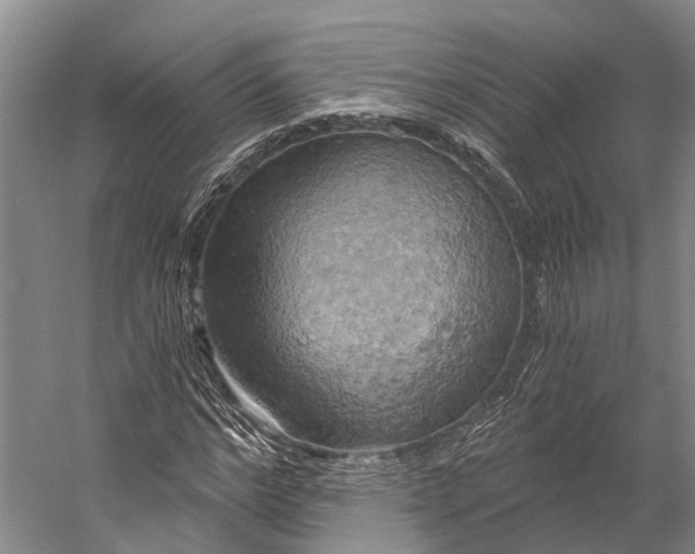 X0000058800968200510171342