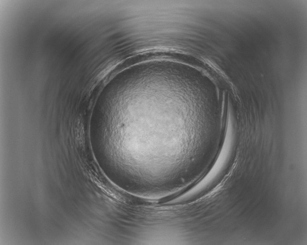 X0000058800969200510171342