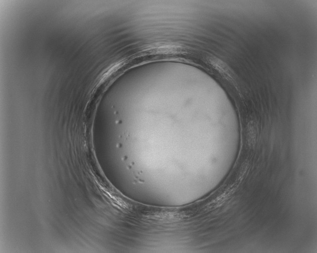 X0000058800970200510171342