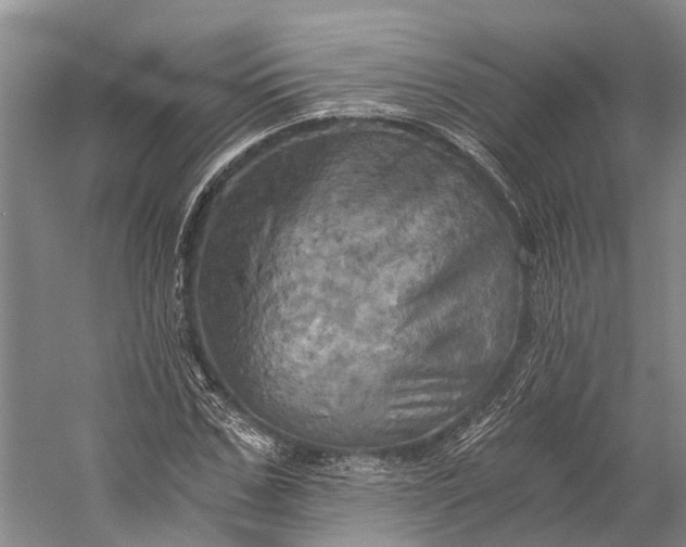 X0000058800971200510171342