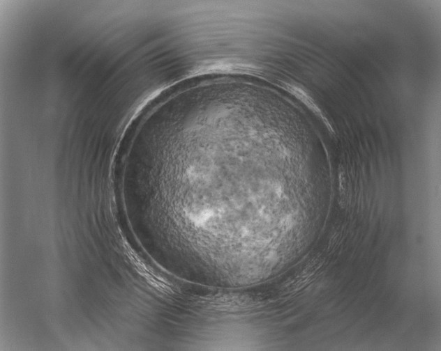 X0000058800972200510171342