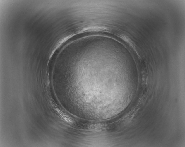 X0000058800973200510171342