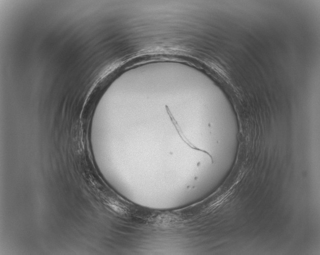 X0000058800974200510171342