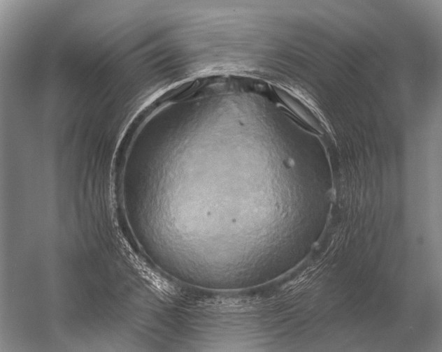 X0000058800976200510171342