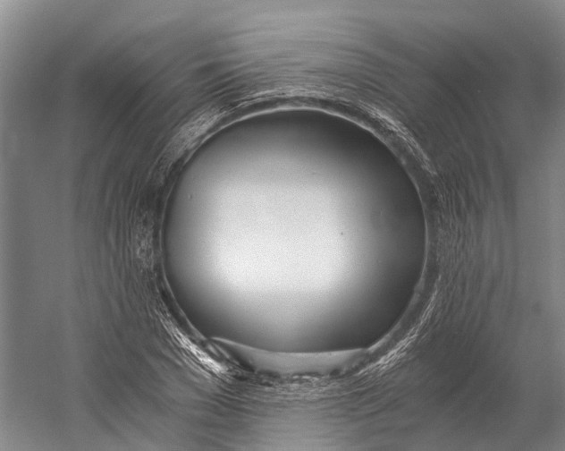 X0000058800977200510171342