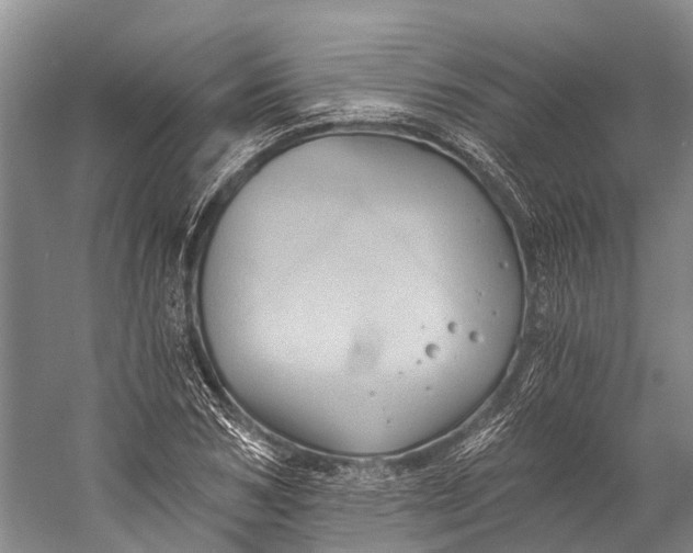 X0000058800978200510171342