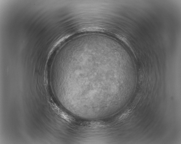 X0000058800979200510171342