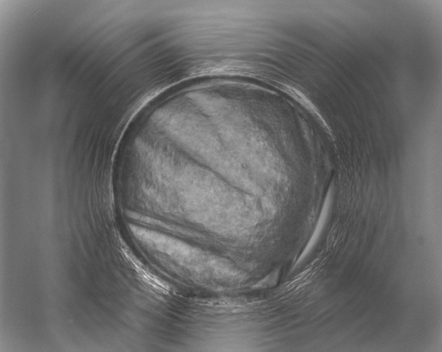 X0000058800980200510171342