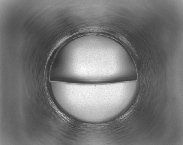 X0000058800981200510171342