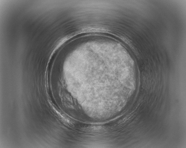 X0000058800982200510171342