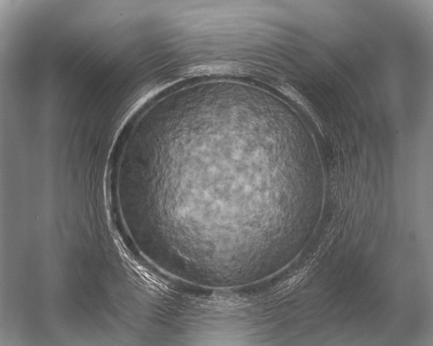 X0000058800983200510171342