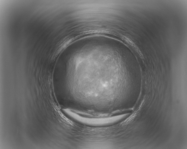 X0000058800985200510171342