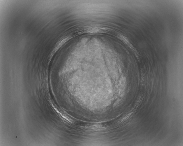 X0000058800986200510171342