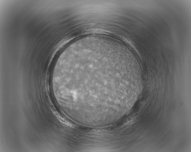 X0000058800987200510171342