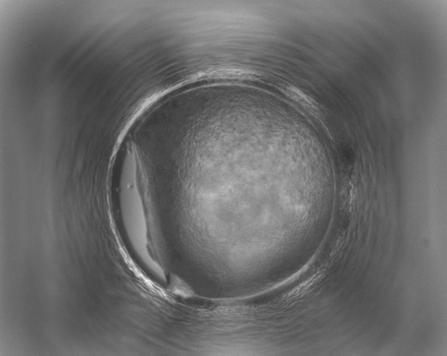 X0000058800989200510171342