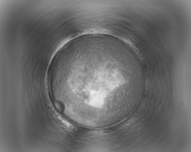 X0000058800990200510171342