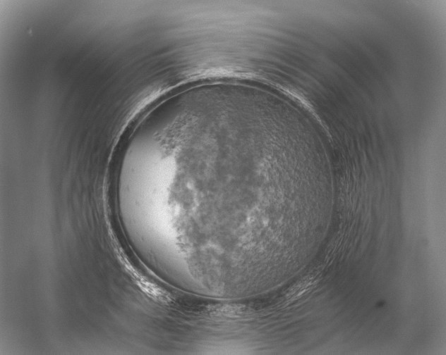 X0000058800991200510171342