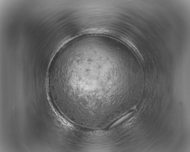 X0000058800992200510171342