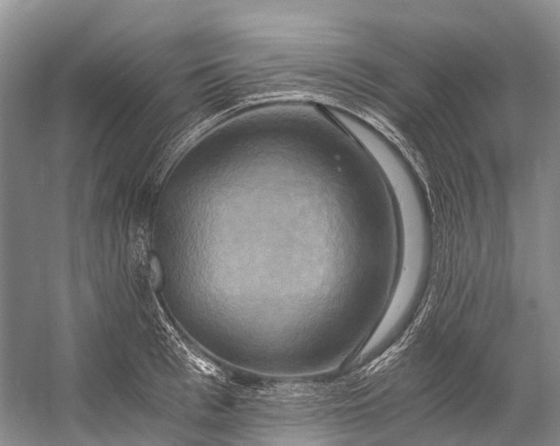 X0000058800993200510171342