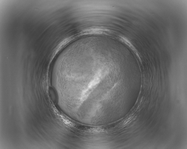 X0000058800994200510171342