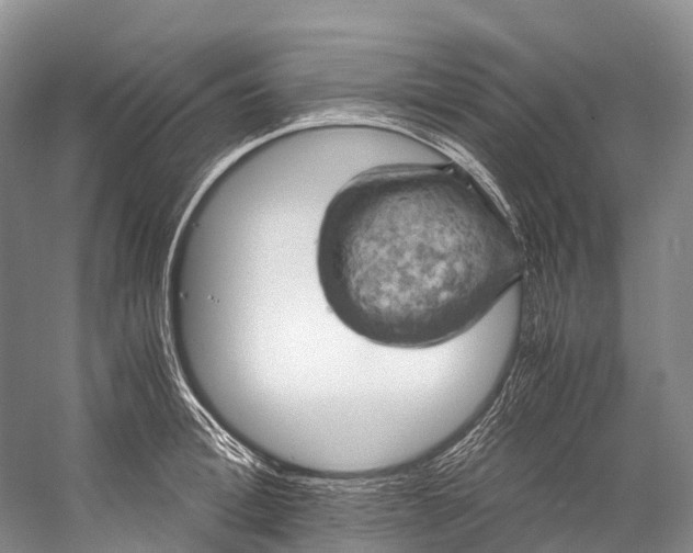 X0000058800996200510171342