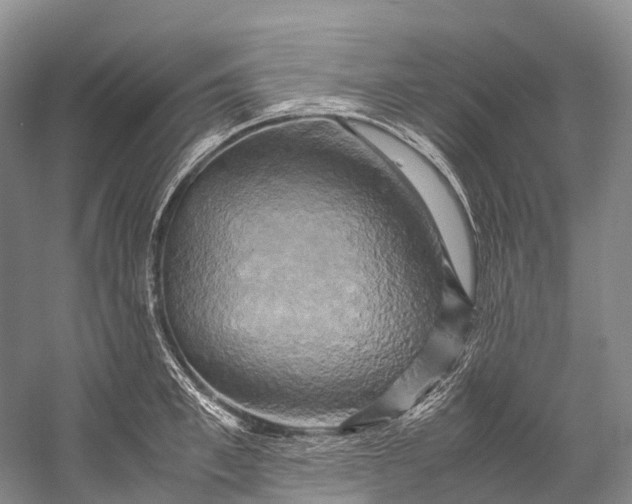 X0000058800997200510171342