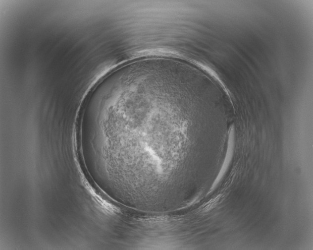 X0000058800999200510171342