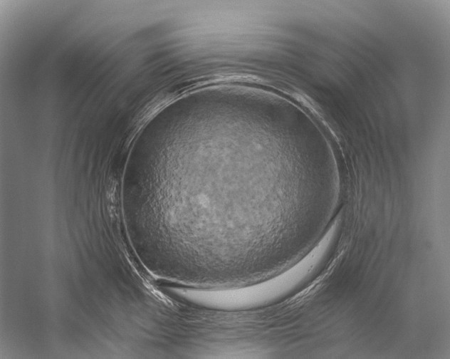 X0000058801001200510171342