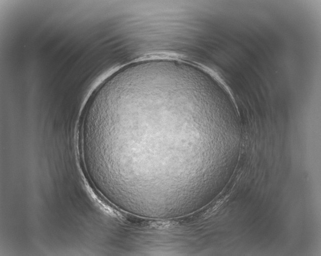 X0000058801003200510171342