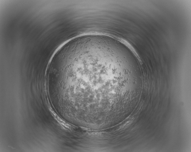 X0000058801004200510171342