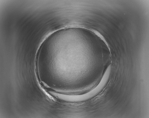 X0000058801005200510171342