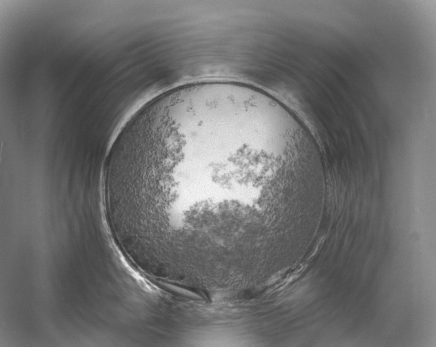 X0000058801006200510171342