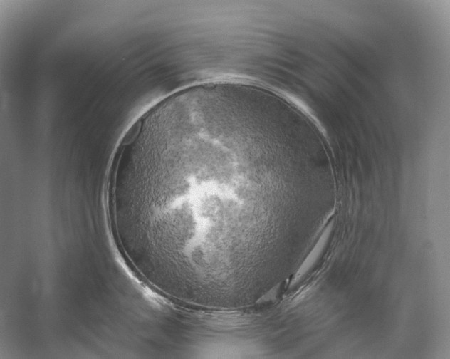 X0000058801007200510171342