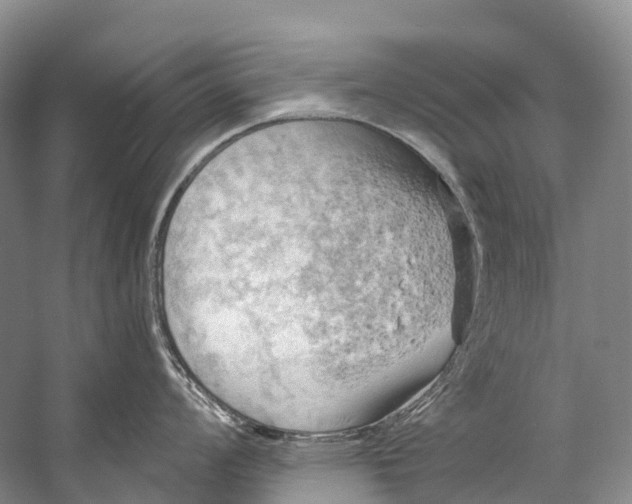 X0000058801008200510171342